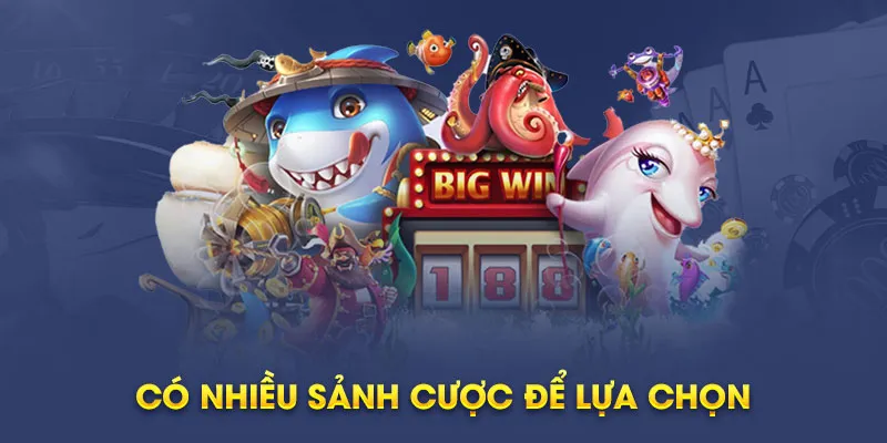 Những nét nổi bật thu hút hội viên tham gia