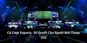 Cá Cược Esports: Bí Quyết Cho Người Mới Tham Gia