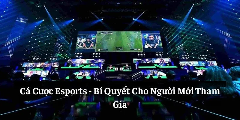 Cá Cược Esports: Bí Quyết Cho Người Mới Tham Gia