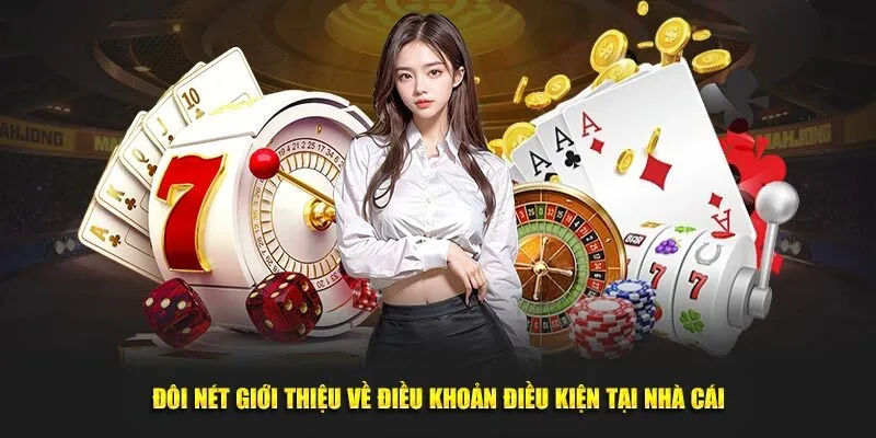 Đôi điều giới thiệu về quy định điều khoản điều kiện