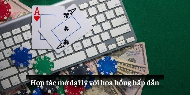 Hợp tác mở đại lý với hoa hồng hấp dẫn