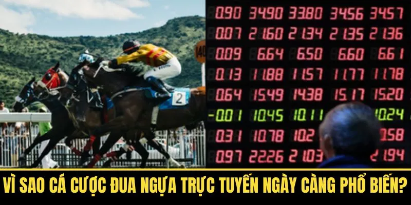 Trải nghiệm cá cược đua ngựa online hấp dẫn mỗi ngày