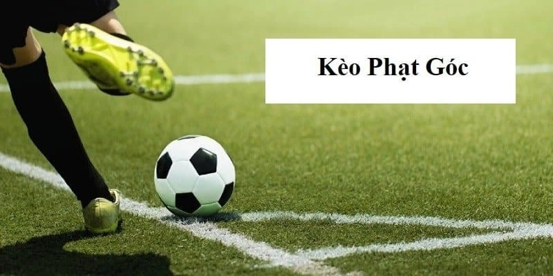 Tổng hợp các loại kèo phạt góc mà bet thủ nên biết