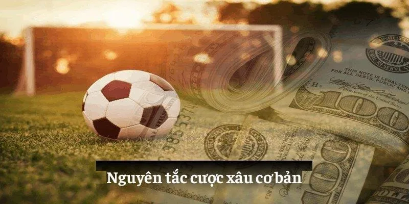 Nguyên tắc cược xâu cơ bản