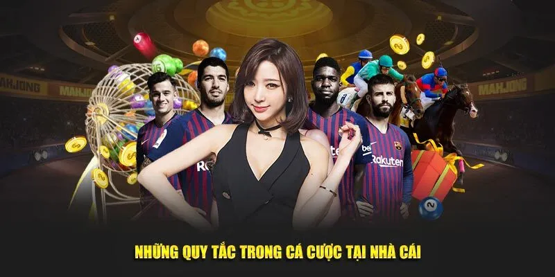 Quy định chung bạn phải nắm về điều khoản và điều kiện